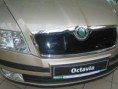 /album/fotogaleria/zimna-clona-masky-skoda-octavia-2-jpg/